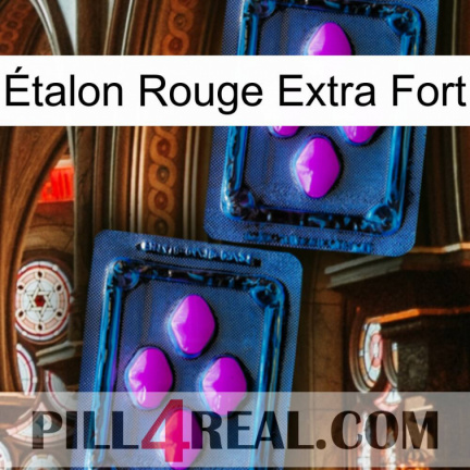 Étalon Rouge Extra Fort 03